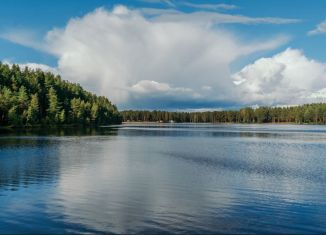 Продаю земельный участок, 6 сот., коттеджный посёлок Коркинский ручей