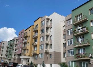 Продается 1-ком. квартира, 44.4 м2, деревня Гаврилково, улица 1-й Квартал, 6, ЖК Новый Эдем