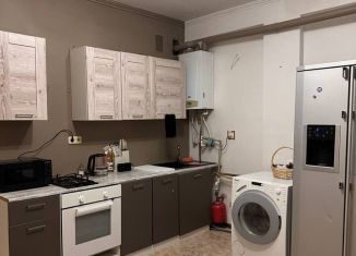 Сдается в аренду 1-ком. квартира, 42 м2, Сочи, Клубничная улица, 50, микрорайон Новый Сочи