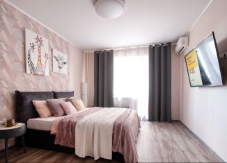 Сдаю 1-комнатную квартиру, 45 м2, Татарстан, улица Академика Лаврентьева, 28