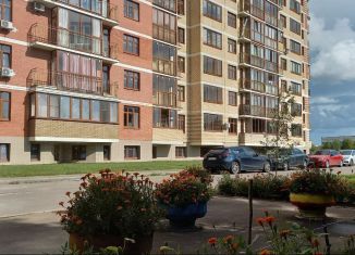 Продается квартира студия, 18 м2, деревня Ивановское, улица Семёна Гордого, 12