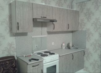 Сдаю в аренду квартиру студию, 27 м2, Тюмень, Верхнетарманская улица, 5, ЖК Новый Мыс 2.0