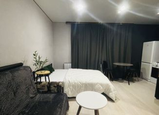 Квартира в аренду студия, 19 м2, Чернушка, улица Францева, 21