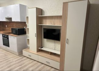 Квартира в аренду студия, 25.5 м2, Мурино, проспект Авиаторов Балтики, 29к2