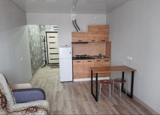 Сдается квартира студия, 23 м2, Новосибирск, улица Забалуева, 102