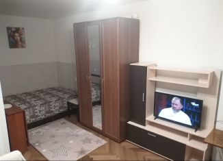 Аренда 1-комнатной квартиры, 29 м2, Санкт-Петербург, проспект Энгельса, 63к2, Выборгский район