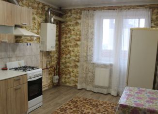 Аренда 1-комнатной квартиры, 45 м2, Рязань, Семчинская улица, 3, ЖК Ломоносов