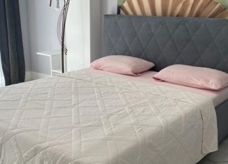 Сдача в аренду однокомнатной квартиры, 40 м2, Сочи, Крымская улица, 89, микрорайон Мамайка