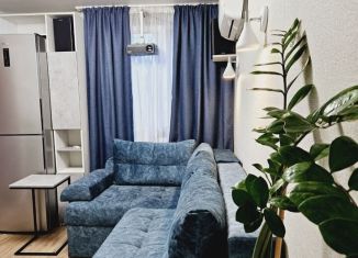 Аренда 2-комнатной квартиры, 45 м2, Воронеж, улица Генерала Лизюкова, 91А