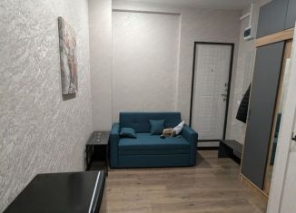 Сдам квартиру студию, 13.5 м2, Москва, Студенческая улица, 19к1