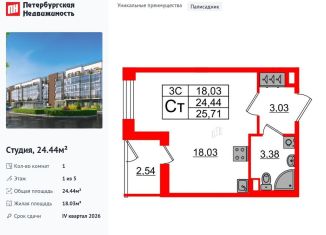 Квартира на продажу студия, 24.4 м2, Санкт-Петербург, метро Звёздная