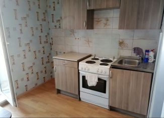 Сдам в аренду 2-ком. квартиру, 50 м2, деревня Щемилово, улица Орлова, 10