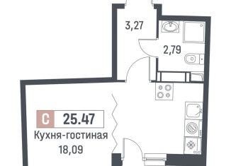 Продажа квартиры студии, 24.2 м2, Мурино