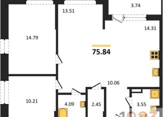 Двухкомнатная квартира на продажу, 75.8 м2, Воронежская область