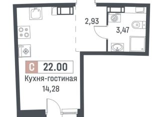 Продается квартира студия, 20.7 м2, Мурино