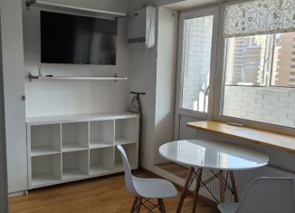 Сдаю квартиру студию, 30 м2, Санкт-Петербург, Кушелевская дорога, 5к3, муниципальный округ Пискарёвка