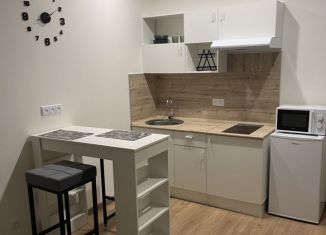 Квартира в аренду студия, 24 м2, Москва, Малая Очаковская улица, 4Ак1