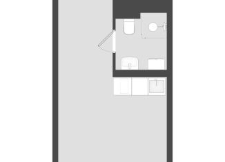 Продам квартиру студию, 20.9 м2, Санкт-Петербург, метро Московская