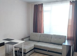 Сдается квартира студия, 25 м2, Новосибирск, улица Бородина, 56