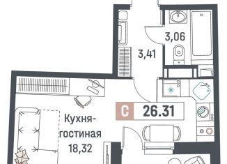 Продается квартира студия, 26.3 м2, Мурино