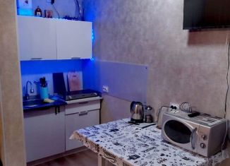 Сдам квартиру студию, 26 м2, Сертолово, Тихвинская улица, 10к2