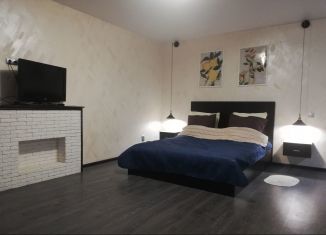 Сдам в аренду однокомнатную квартиру, 44.7 м2, Воронеж, улица Перевёрткина, 1/6