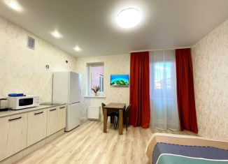 Сдаю квартиру студию, 25 м2, Адыгея, улица Тургеневское Шоссе, 33/5к35