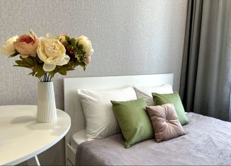 Сдам однокомнатную квартиру, 23 м2, Республика Башкортостан, улица Рудольфа Нуреева, 7