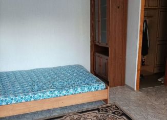 Сдается в аренду 1-комнатная квартира, 30 м2, Йошкар-Ола, улица Машиностроителей, 6, 2-й микрорайон