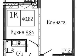 Продается 1-комнатная квартира, 40.8 м2, Новосибирск