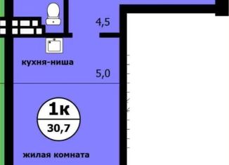 Продаю квартиру студию, 30.7 м2, Красноярский край, Вишнёвая улица