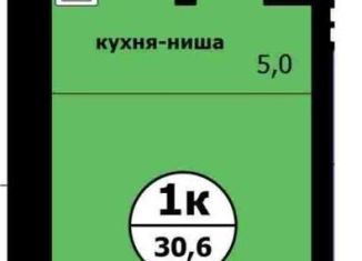 Продаю квартиру студию, 30.6 м2, Красноярский край, Вишнёвая улица