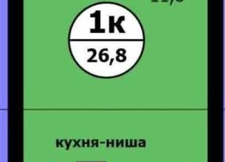 Продажа квартиры студии, 26.8 м2, Красноярский край, Вишнёвая улица