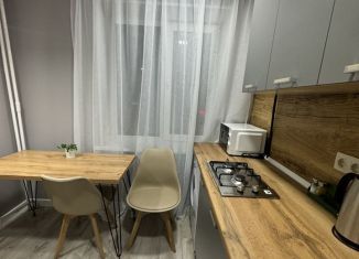 Сдается в аренду 1-ком. квартира, 30 м2, Талица, улица Ленина