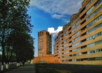 Продается квартира студия, 47 м2, Нижнекамск, проспект Химиков, 64