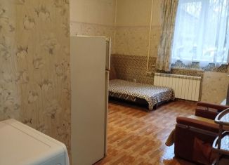 Сдам 1-комнатную квартиру, 21 м2, Красноярск, Краснопресненская улица, 18, Свердловский район