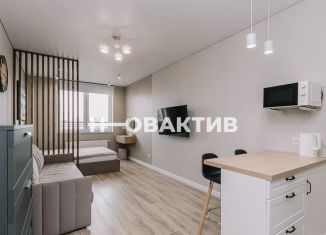 Продается квартира студия, 25.1 м2, Новосибирск, Выборная улица, 133/1, метро Золотая Нива