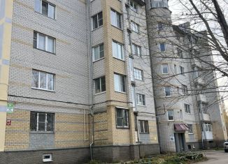 Сдам в аренду однокомнатную квартиру, 42 м2, Нижегородская область, улица Мира, 28А