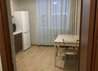 Сдается в аренду 1-ком. квартира, 31.8 м2, Мурино, проспект Авиаторов Балтики