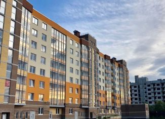 Продажа 2-ком. квартиры, 60 м2, деревня Янино-2, Рябиновая улица, 5