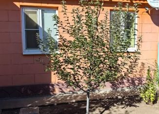 Дом на продажу, 50 м2, село Самарское, Московская улица, 52