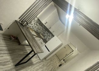 Сдается 1-ком. квартира, 40 м2, Красноярск, Соколовская улица, 78