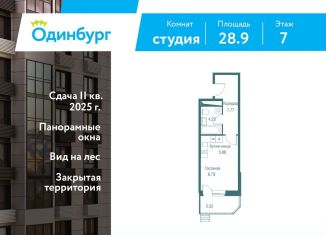 Квартира на продажу студия, 28.9 м2, Одинцово