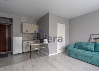 Продам квартиру студию, 23 м2, Казань, улица Степана Халтурина, 2/24