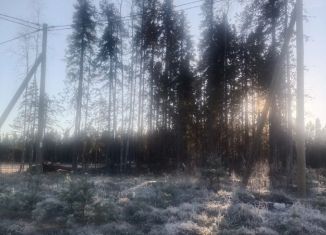 Продам земельный участок, 1300 сот., Костомукша, Светлая улица