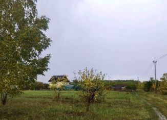 Земельный участок на продажу, 10 сот., село Шеметово