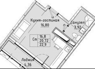 Квартира на продажу студия, 22.9 м2, Санкт-Петербург, Русановская улица, ЖК Ласточкино Гнездо