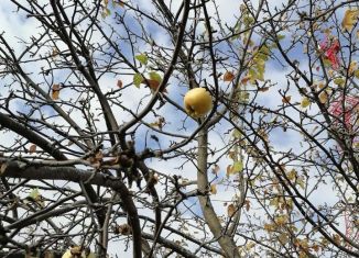 Продается участок, 8 сот., село Галево