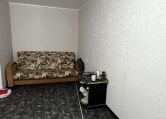 Сдача в аренду однокомнатной квартиры, 30 м2, Новосибирская область, микрорайон Центральный, 29