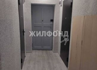 Продается квартира студия, 17.9 м2, Новосибирск, Владимировский спуск, 2, метро Красный проспект